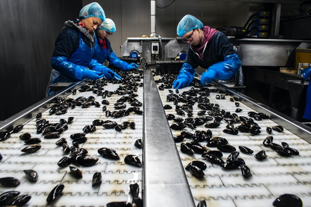 食品加工廢水怎么處理?-污水處理十萬個為什么 食品加工廢水怎么處理?-污水處理十萬個為什么